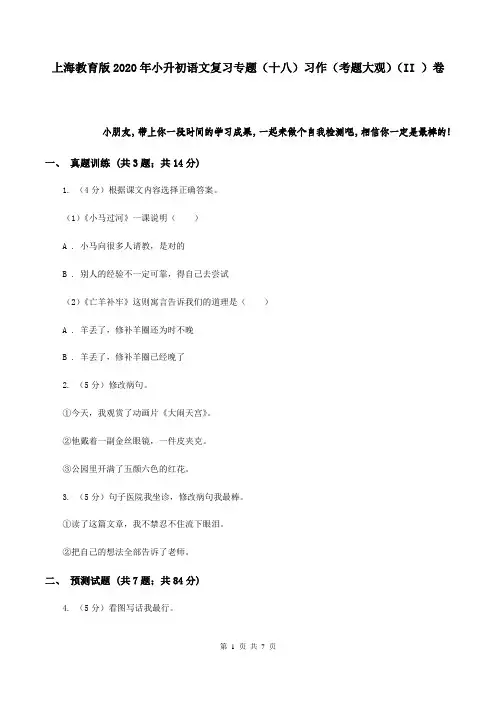 上海教育版2020年小升初语文复习专题(十八)习作(考题大观)(II )卷