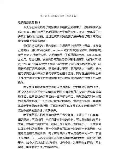 电子商务实践心得体会（精选3篇）