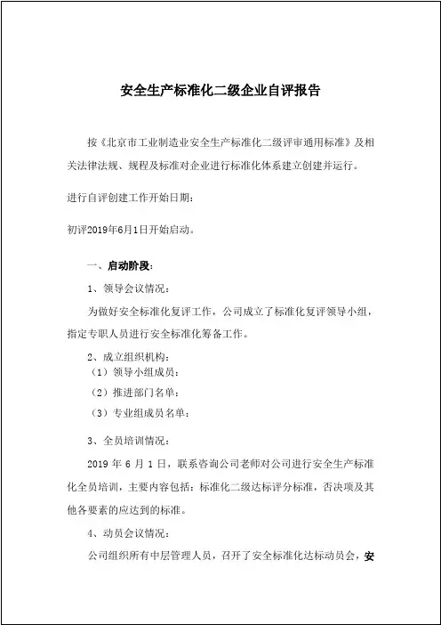 安评二级安全标准化有限公司自评报告
