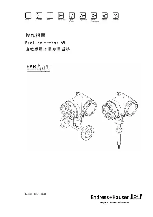热式质量流量计说明书