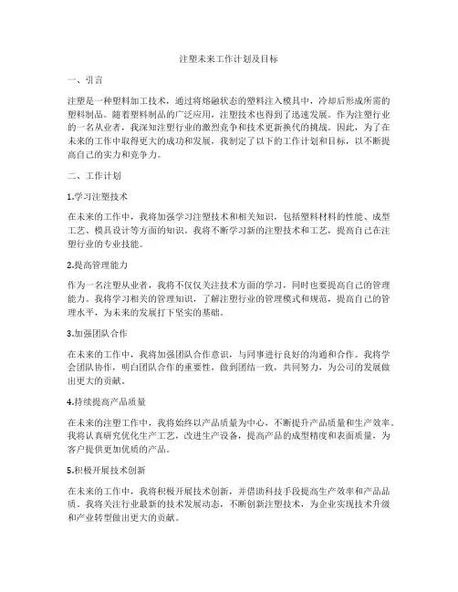 注塑未来工作计划及目标