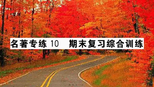 七年级语文上册 第六单元 名著专练10 期末复习综合训练课件