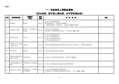 专业技术人员职业资格(2017最新版)