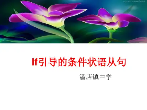If引导的条件状语从句知识讲解