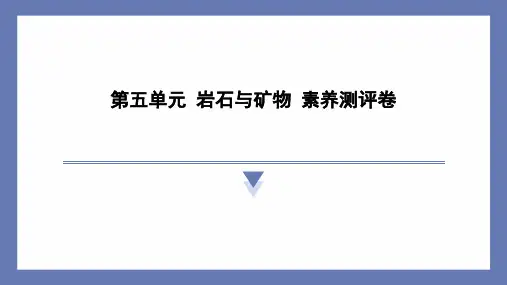 第五单元 岩石与矿物 素养测评卷 课件 苏教版科学四年级上册