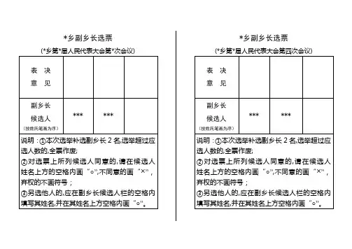 乡镇人代会副乡长选票