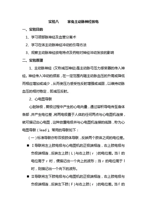 家兔主动脉神经放电.