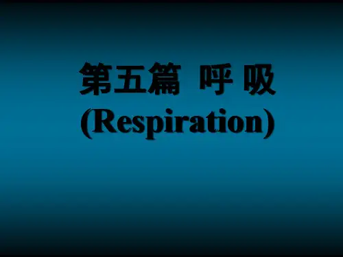 肺通气
