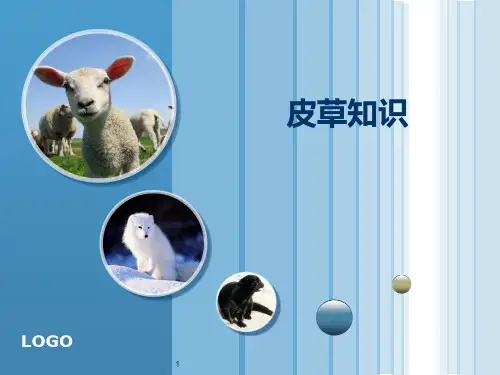 皮草水貂知识PPT课件