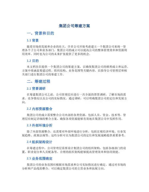 集团公司筹建方案