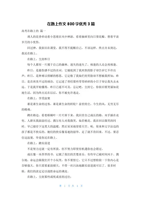 在路上作文800字优秀3篇
