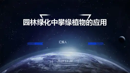 园林绿化中攀缘植物的应用