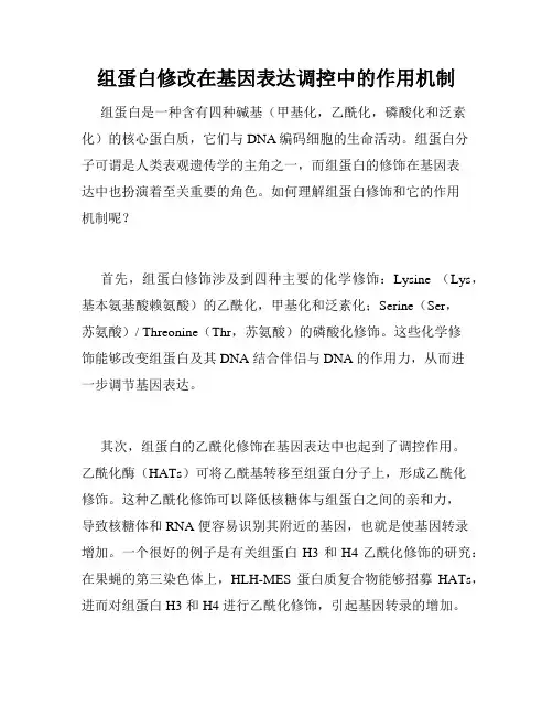 组蛋白修改在基因表达调控中的作用机制