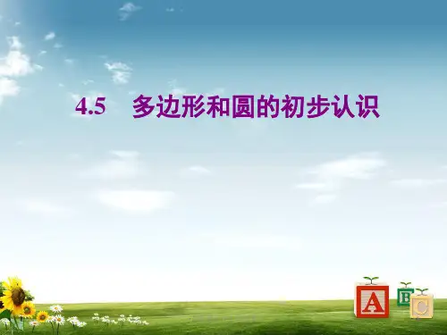 北师大版数学七年级上册同步教学课件：4-5多边形和圆的初步认识(共16张PPT)