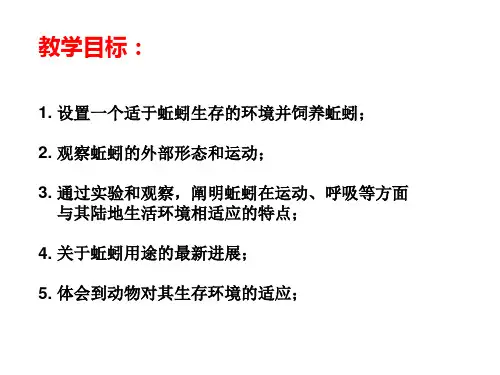 八年级生物饲养和观察蚯蚓(PPT)4-1