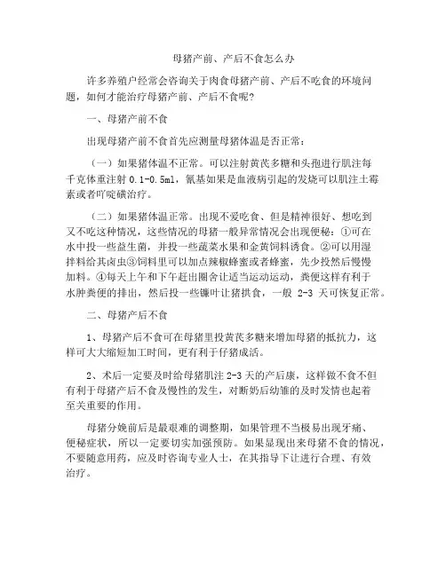 母猪产前、产后不食怎么办