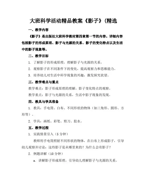 大班科学活动精品教案《影子》(精选