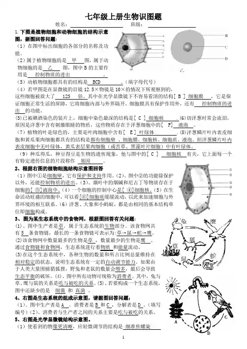 生物七年级生物上册识图题 带答案