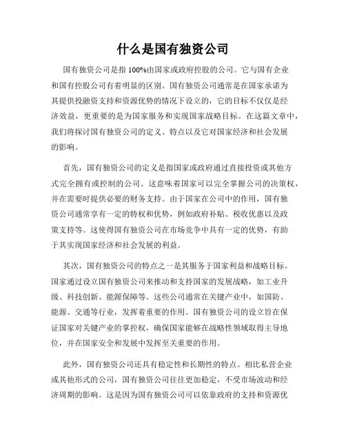 什么是国有独资公司