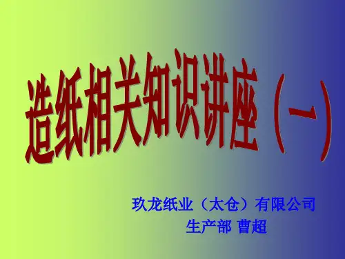 湿部化学及造纸实际问题