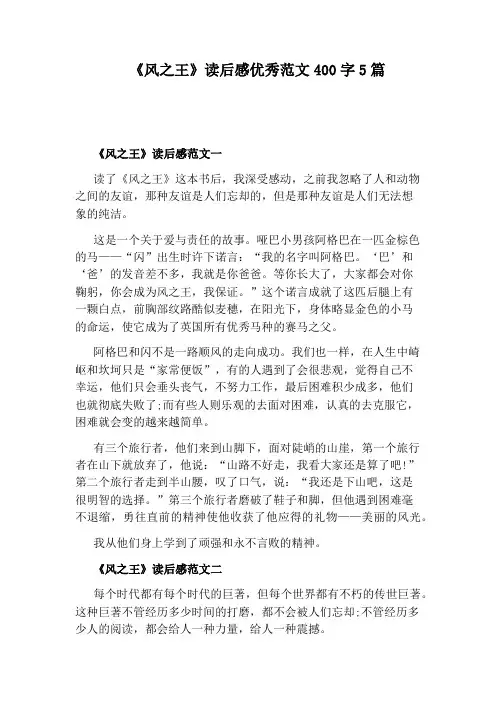 《风之王》读后感优秀范文400字5篇
