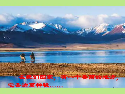 离太阳最近的树正式ppt课件