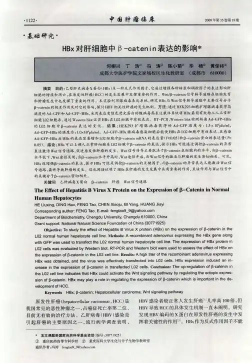 HBx对肝细胞中β-catenin表达的影响