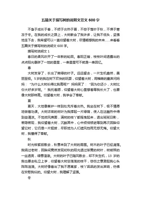 五篇关于描写树的说明文范文600字