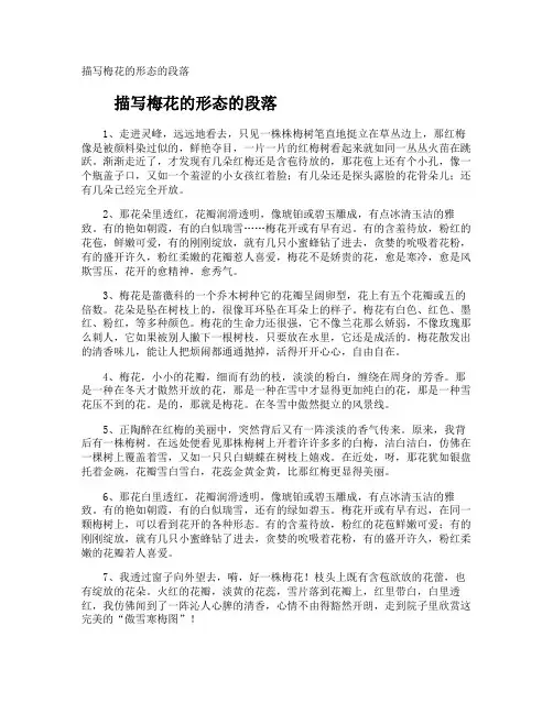 描写梅花的形态的段落