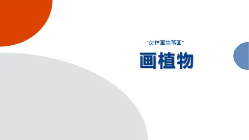 怎样画简笔画——画植物