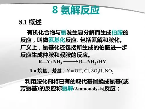 2019精细有机合成8 氨解2019