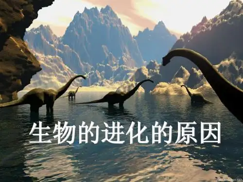 s7.3.3生物进化的原因