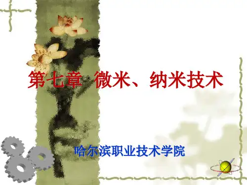 第七章 微米、纳米技术