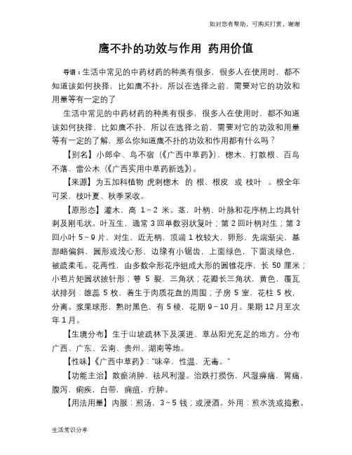 鹰不扑的功效与作用 药用价值