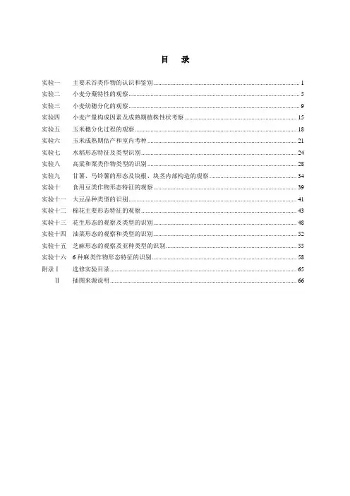 主要禾谷类作物的认识和鉴别1