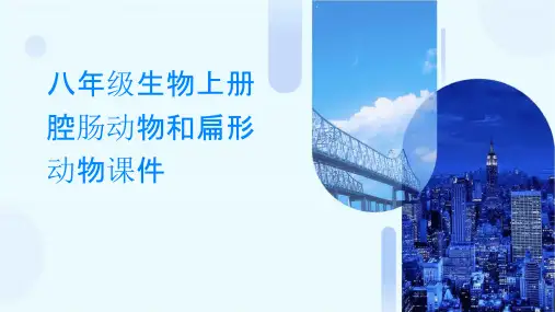 八年级生物上册腔肠动物和扁形动物课件
