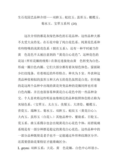 生石花园艺品种介绍——双眸玉、蛇纹玉、茧形玉、橄榄玉、菊水玉、宝翠玉系列 (14)