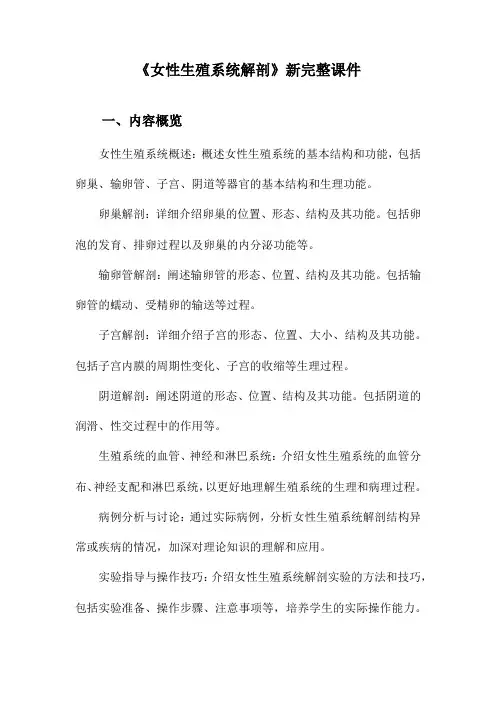 《女性生殖系统解剖》新完整课件