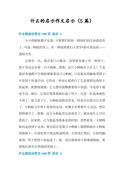 什么的启示作文启示(5篇)