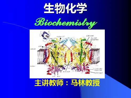 中山大学生物化学第一章生命