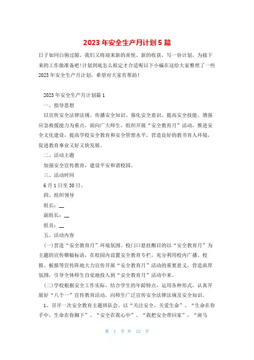 2023年安全生产月计划5篇