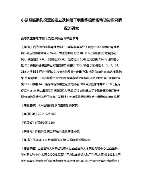 小鼠脊髓损伤模型的建立及神经干细胞移植后运动功能恢复情况的研究