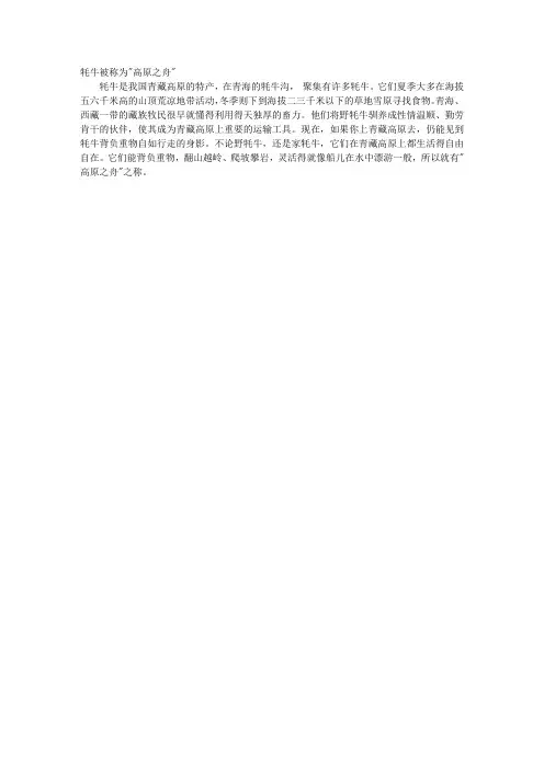 牦牛被称为“高原之舟”