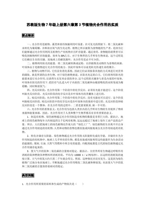 初中生物备课参考 植物光合作用的实质