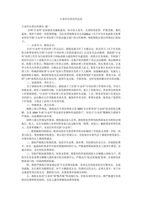 小金库自查自纠总结