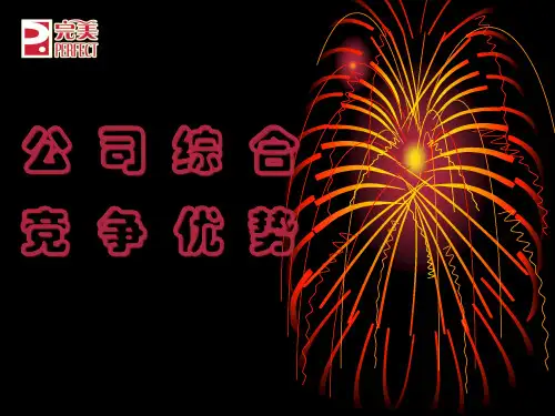 公司综合竞争优势