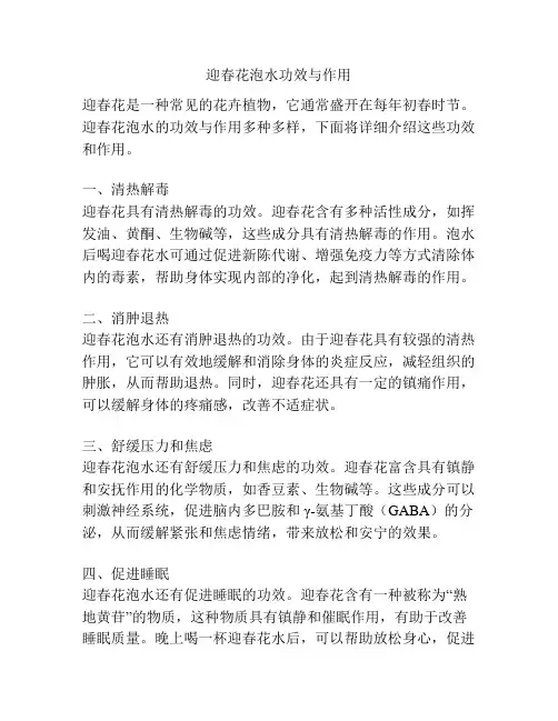 迎春花泡水功效与作用