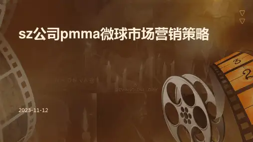 SZ公司PMMA微球市场营销策略