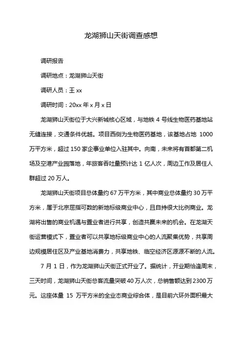 龙湖狮山天街调查感想