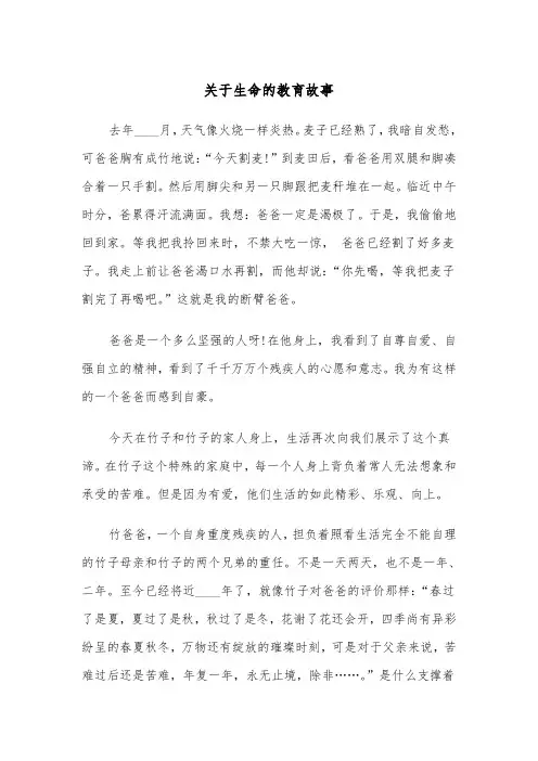 关于生命的教育故事（四篇）